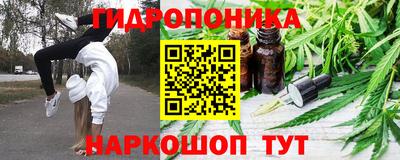 винт Партизанск