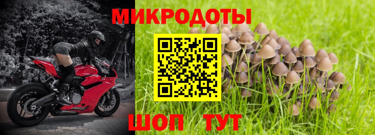Спасск-Дальний  Псилоцибиновые грибы Psilocybe  Галлюциногенные грибы мицелий  Вход с VPN 